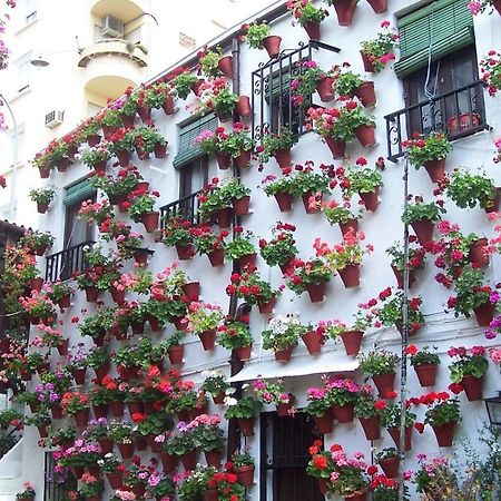 Centro Cordoba Apartaluz-8 Wifi Pk Bagian luar foto