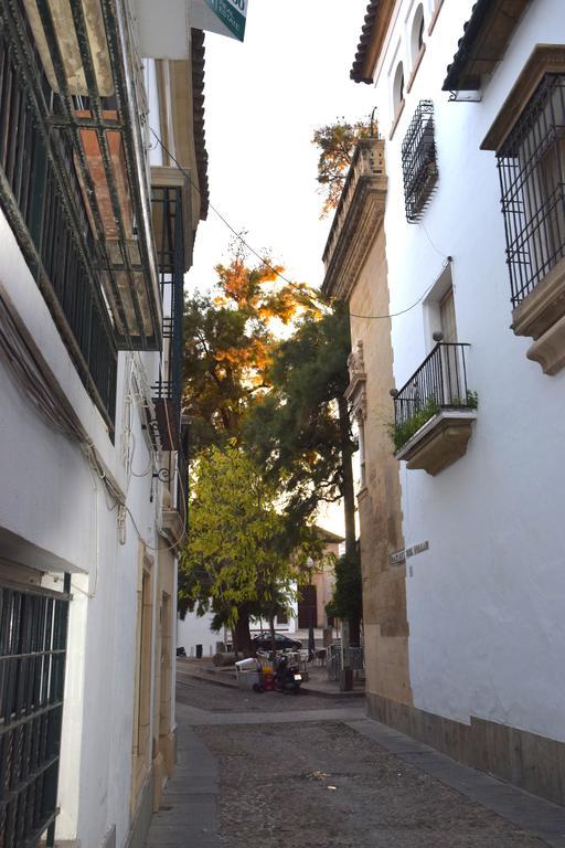 Centro Cordoba Apartaluz-8 Wifi Pk Ruang foto
