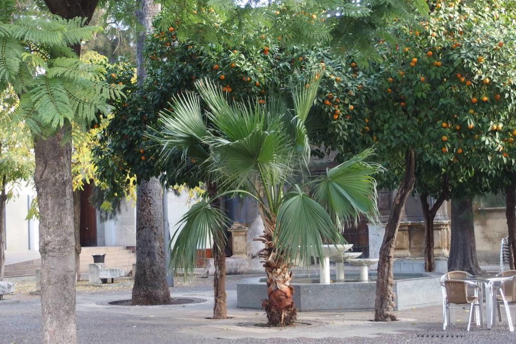 Centro Cordoba Apartaluz-8 Wifi Pk Bagian luar foto