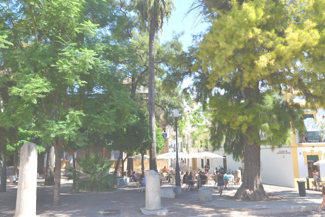 Centro Cordoba Apartaluz-8 Wifi Pk Bagian luar foto