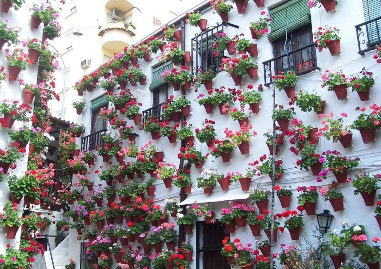 Centro Cordoba Apartaluz-8 Wifi Pk Bagian luar foto